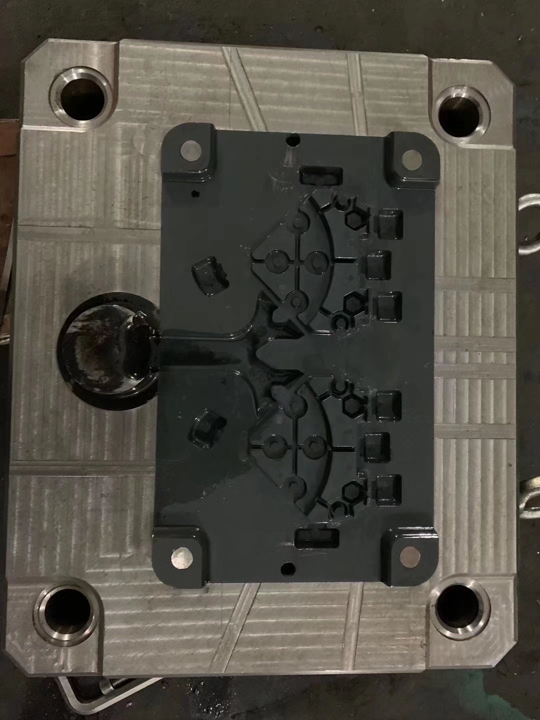 Mold 11