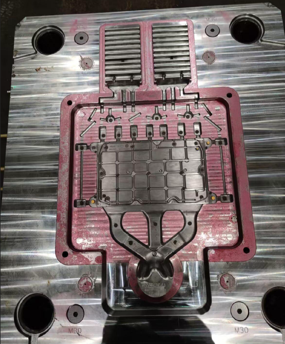 Mold 25